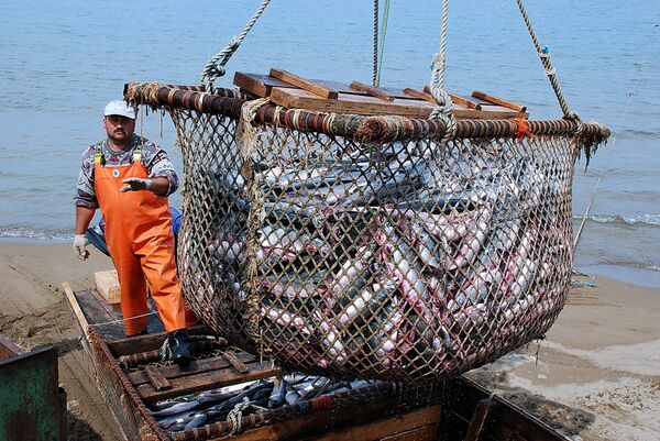 China’s Pacific Andes Ordered to Sell Russian Fishing Assets         - Sputnik International