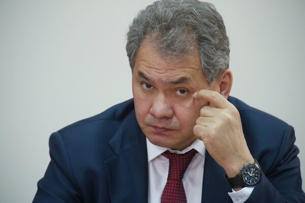 Sergei Shoigu, ex-Emergency Situations Minister and current Moscow Region Governor - Sputnik International