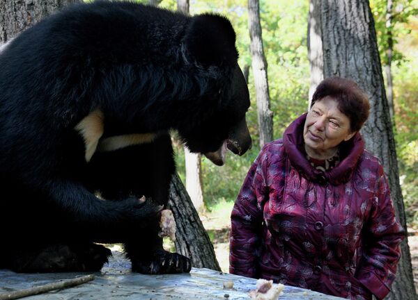 Asian Black Bears at Private Preserve in Primorye Territory - Sputnik International