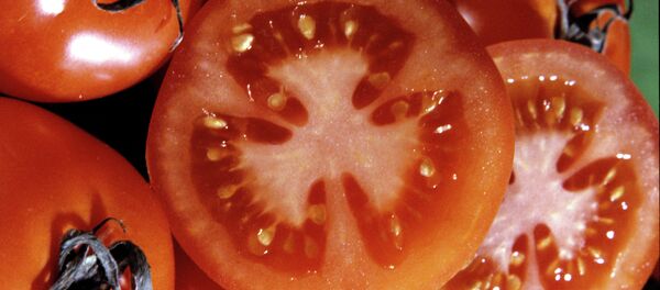 Potatoes Potatoes - Sputnik International