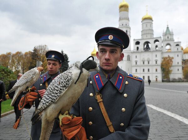 Kremlin Adopts Two Gyrfalcons for Ceremonial Duty - Sputnik International