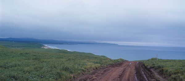 Bering Island Bering Island - Sputnik International