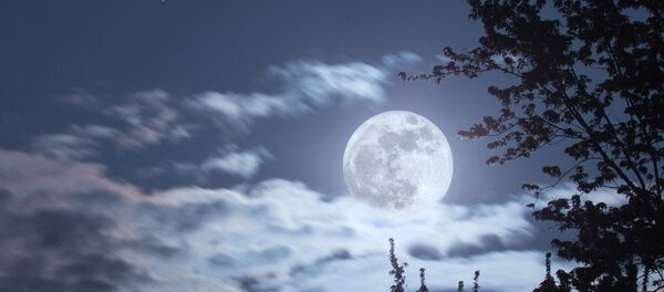 Full moon Full moon - Sputnik International