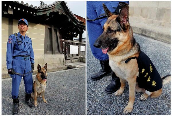 Kyoto Imperial Palace Kyoto Imperial Palace - Sputnik International