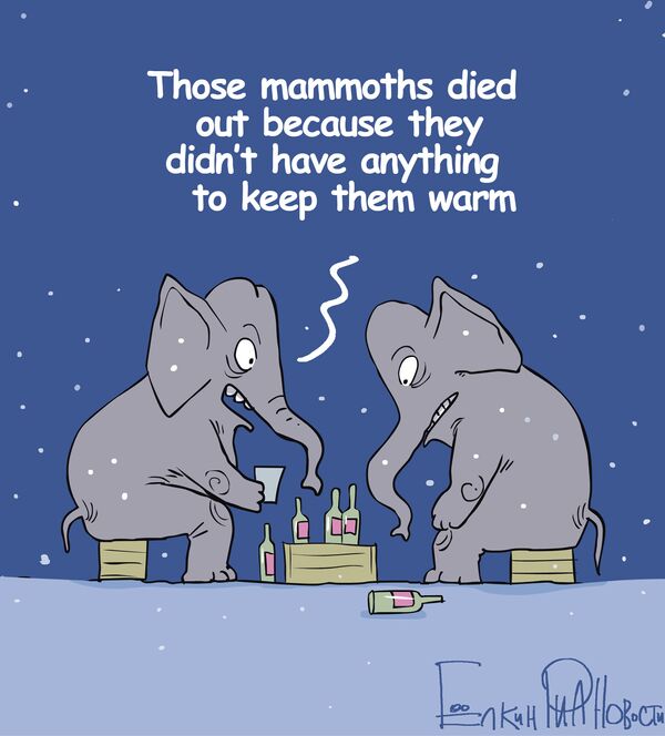 Anything to keep elephants warm! - Sputnik International