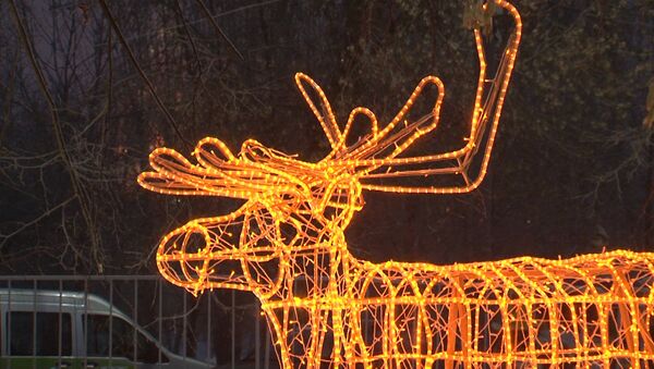 Christmas light show under way in Moscow park - Sputnik International