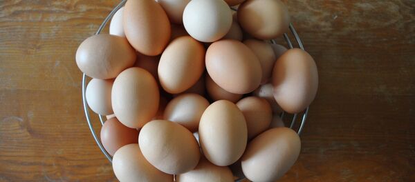 Chicken eggs - Sputnik International