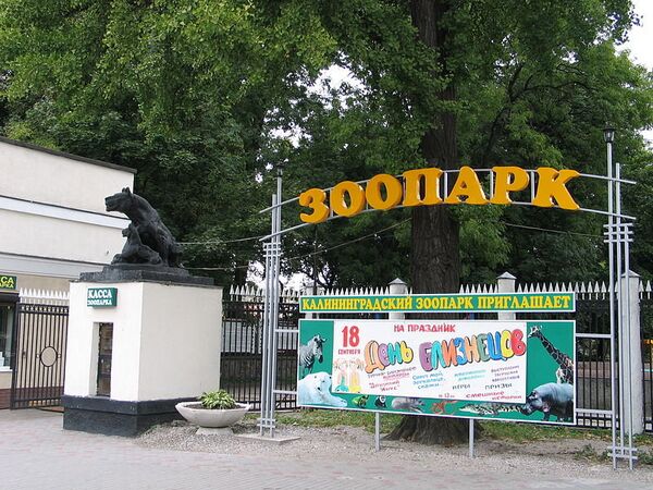 Zoo in Kaliningrad (archive) - Sputnik International
