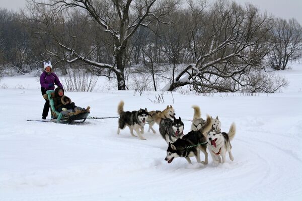 Dog Sledding in Moscow with Russia’s Shamans - Sputnik International