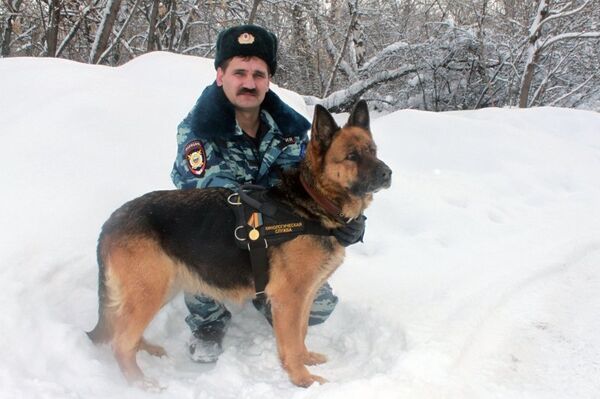 Russian Police Dog Gets Medal of Valor - Sputnik International