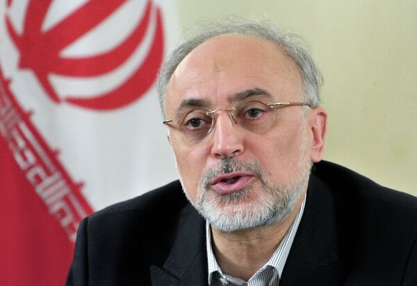 Iranian Foreign Minister Ali Akbar Salehi - Sputnik International