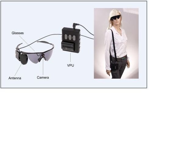The external equipment includes glasses, a video processing unit (VPU) and a cable - Sputnik International