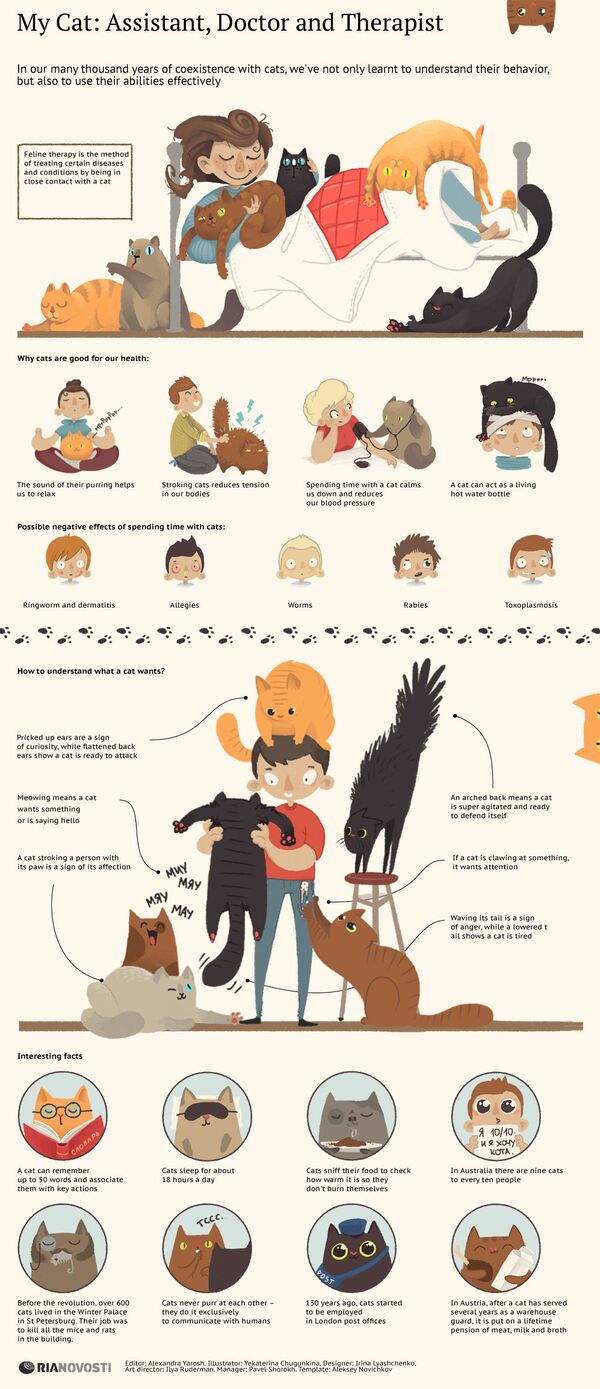 My Cat: Assistant, Doctor and Therapist - Sputnik International