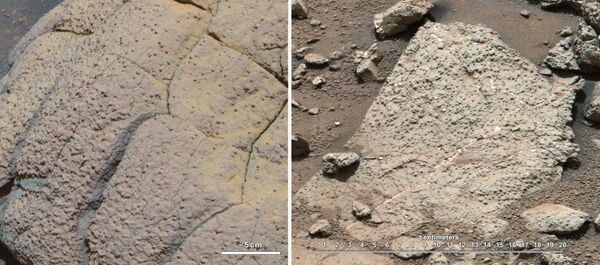 These images compare rocks as seen by NASA's Opportunity rover (left)  and Curiosity rover (right)on two different regions of Mars. The image on the right, captured by Curiosity,  shows very fine-grained sediments which scientists say represent the record of an ancient habitable environment - Sputnik International