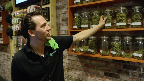 US Cannabis Capitalists Aim High With Legal Colorado Weed - Sputnik International