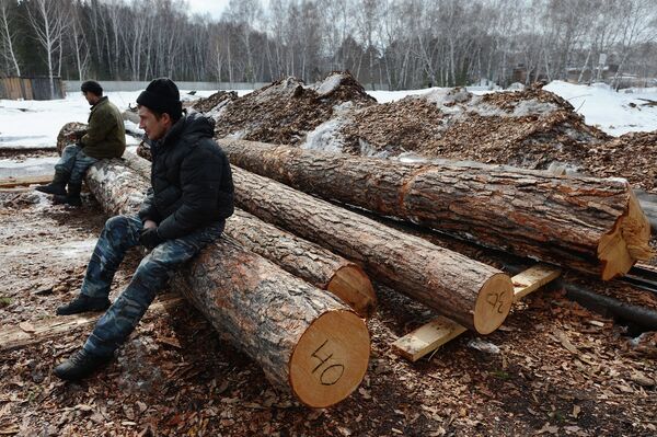 Timber Processing in Novosibirsk - Sputnik International