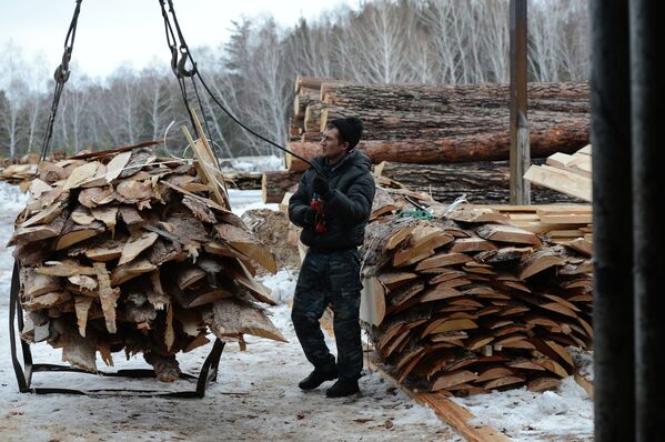Timber Processing in Novosibirsk - Sputnik International