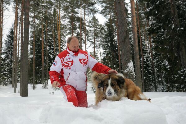 Vladimir Putin Romps in Snowdrifts With His Dogs in the Moscow Region - Sputnik International