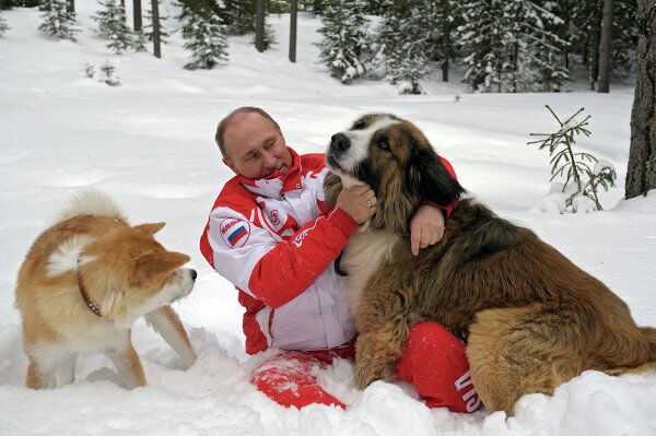 Vladimir Putin Romps in Snowdrifts With His Dogs in the Moscow Region - Sputnik International