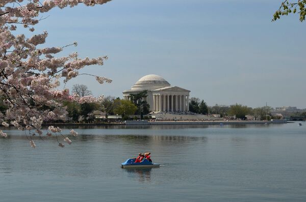 Washington Cherry Blossom - Sputnik International