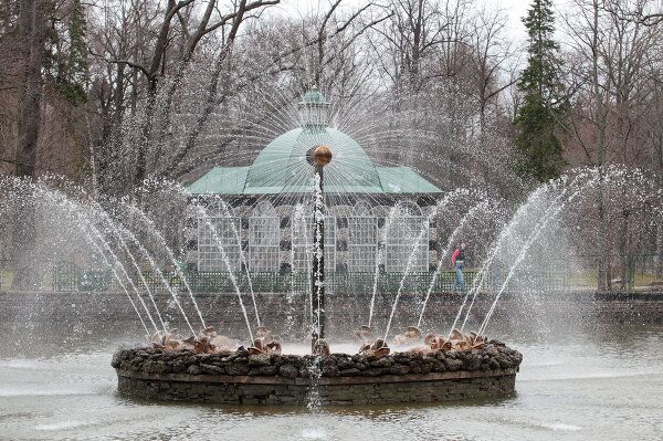 Fountain Season in Peterhof Gets Underway - Sputnik International