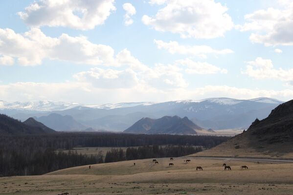 Spring in the Altai Mountains - Sputnik International