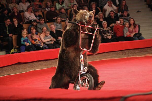 Thieves Steal Circus Bear’s Bicycle in Tatarstan. (Archive) - Sputnik International