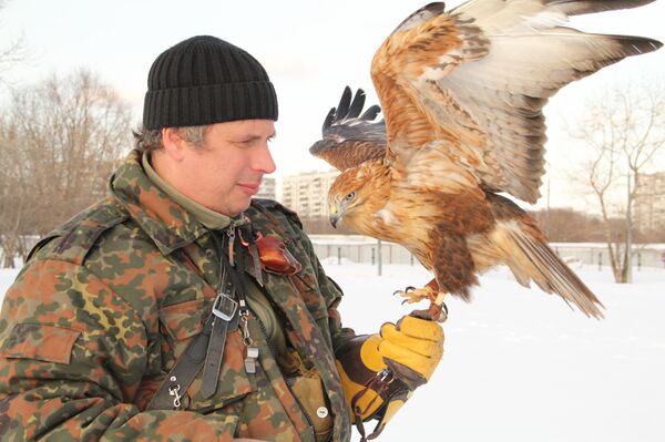 Vladimir Skripkin and his favorite buteo, Lada - Sputnik International