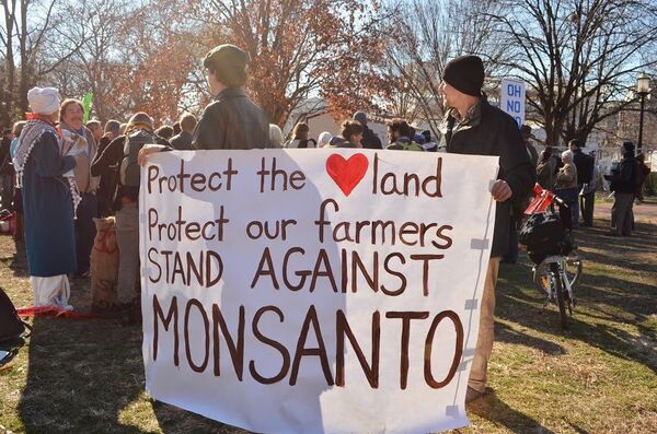 A rally against biotech giant Monsanto in Washington, DC on January 10, 2013. A rally against biotech giant Monsanto in Washington, DC on January 10, 2013. - Sputnik International