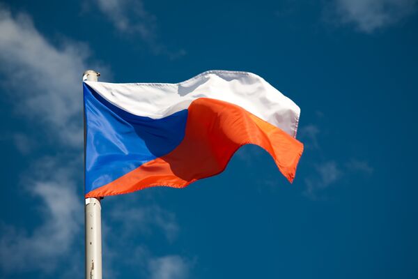 Czech NGO Queries Russian Businessman’s Extradition - Sputnik International