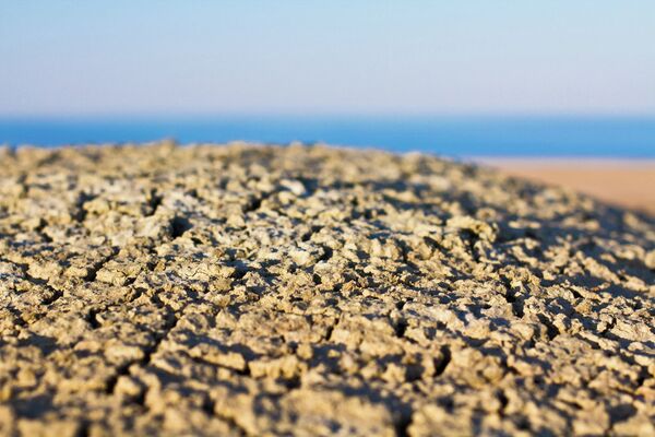 Aral Sea Stopped Shrinking Says Russian Scientist - Sputnik International