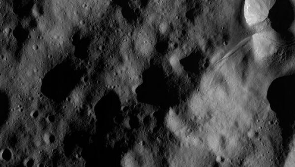 A picture of the giant Vesta asteroid taken by a NASA spacecraft in November 2012. - Sputnik International