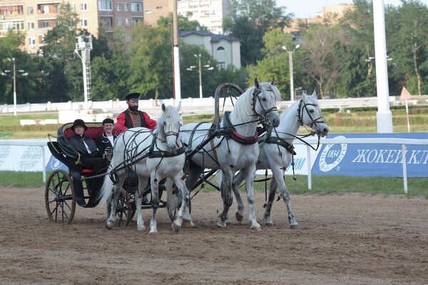Russian President’s Cup Jubilee Horse Race - Sputnik International