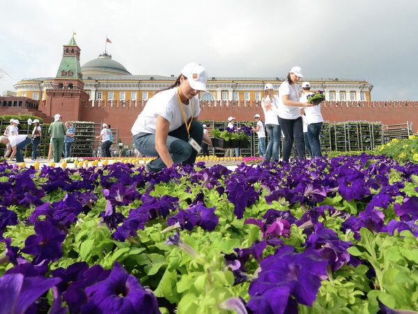 Carpet of Flowers Adorns Red Square - Sputnik International