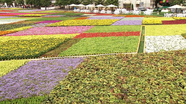A Huge Carpet of Fresh Flowers Adorns Red Square - Sputnik International