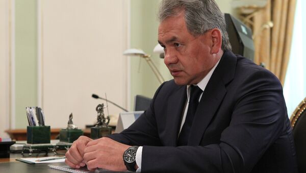 Defense Minister Sergei Shoigu - Sputnik International