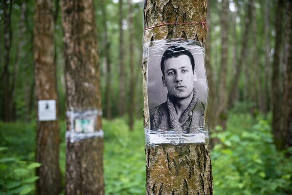 Victims’ families have created makeshift memorials on the trees. - Sputnik International