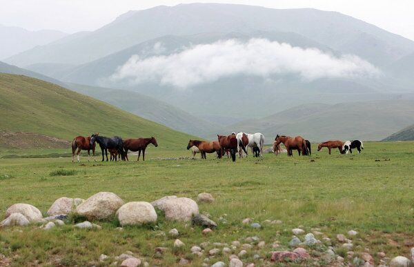 The Suusamyr Valley, a Herdsman’s El Dorado - Sputnik International