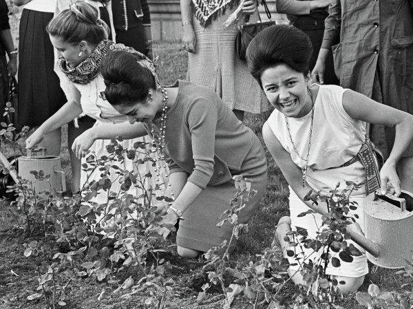 Moscow’s Gorky Park Turns 85 Moscow’s Gorky Park Turns 85 - Sputnik International
