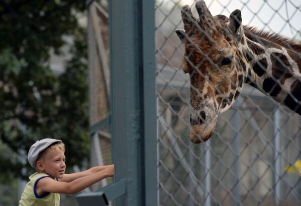 The Moscow Zoo: a Wildlife Kingdom Inside a Big City - Sputnik International