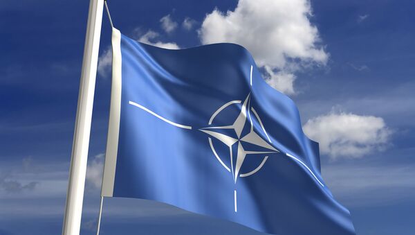 ANALYSIS: NATO Using Ukrainian Crisis in Attempt to Resolve Own Problems - Sputnik International