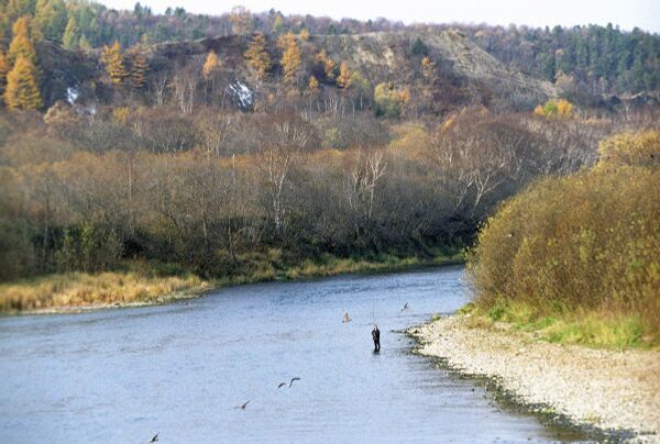 The Lyutoga River on Sakhalin Island - Sputnik International