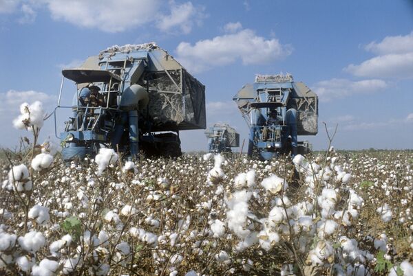 Uzbek PM Vows to Replace Manual Cotton Picking With Machinery - Sputnik International