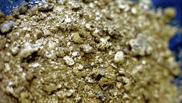 Russian Faces Trial Over 2Kg of Illegal Gold – Prosecutors - Sputnik International