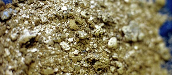 Australian gold mining company OceanaGold is suing El Salvador for more than $300 million - Sputnik International