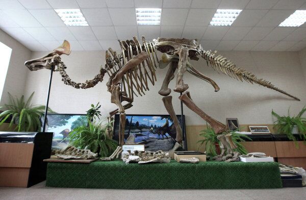 Russia’s Amur Region: Gold, Fossil Dinosaurs and a Space Center - Sputnik International