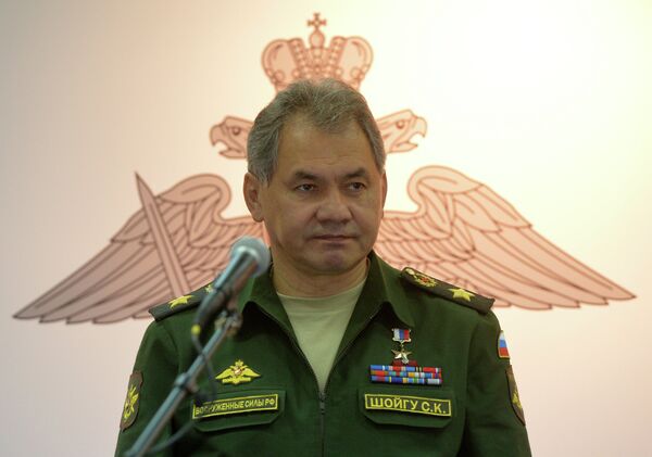 Russian Defense Minister Sergei Shoigu (archive) - Sputnik International