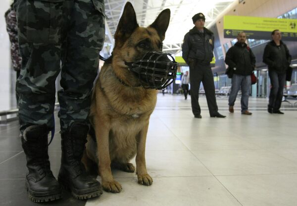 Law-enforcement officer with a guard dog on the leash - Sputnik International