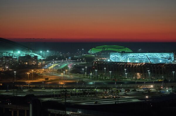 View of the Olympic Park in Sochi - Sputnik International