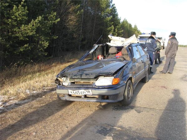 The car that hit an elk in Udmurtia - Sputnik International
